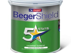 BegerShield 5 Stars Ceiling Paint